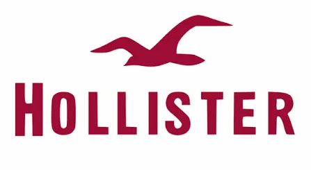 Hollister logo