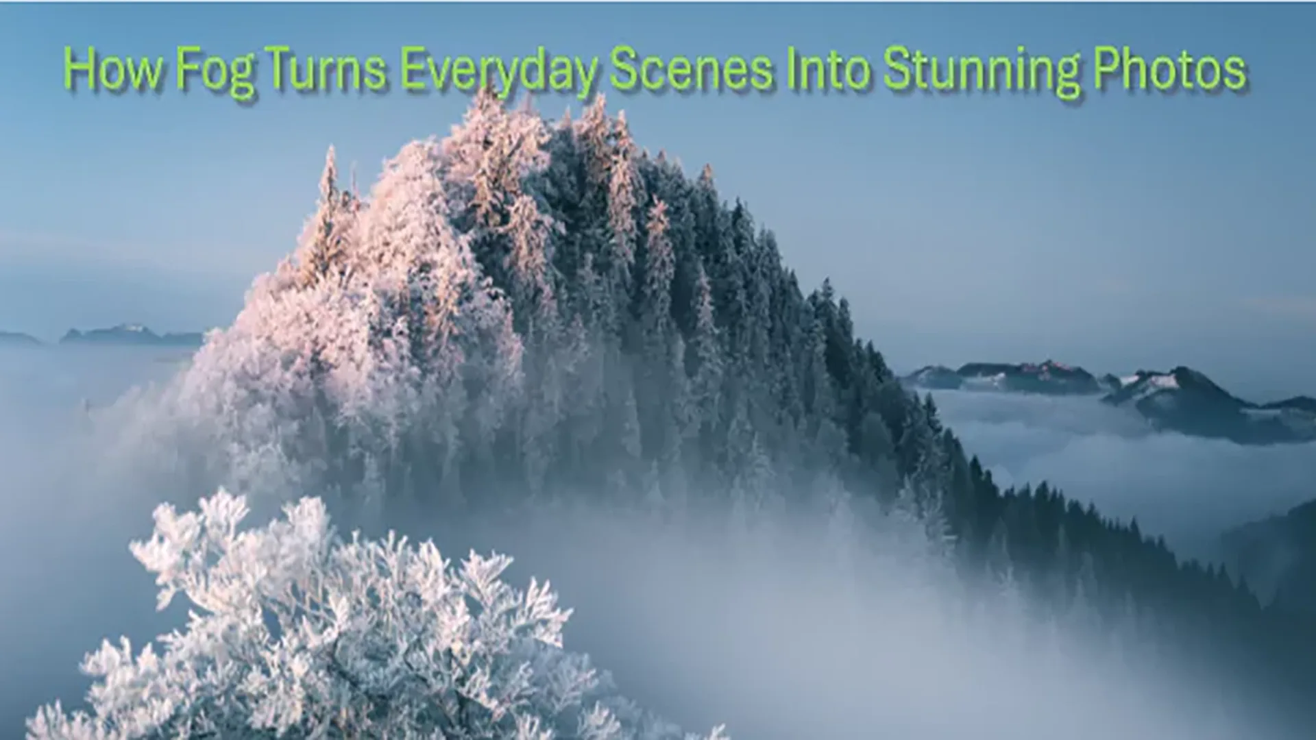 How Fog Turns Everyday Scenes Into Stunning Photos