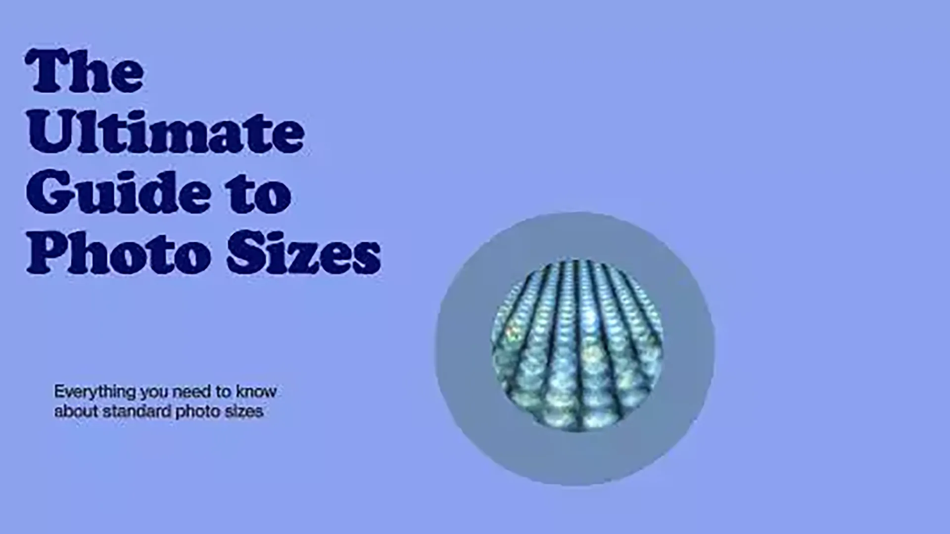 A Comprehensive Guide to Standard Photo Size