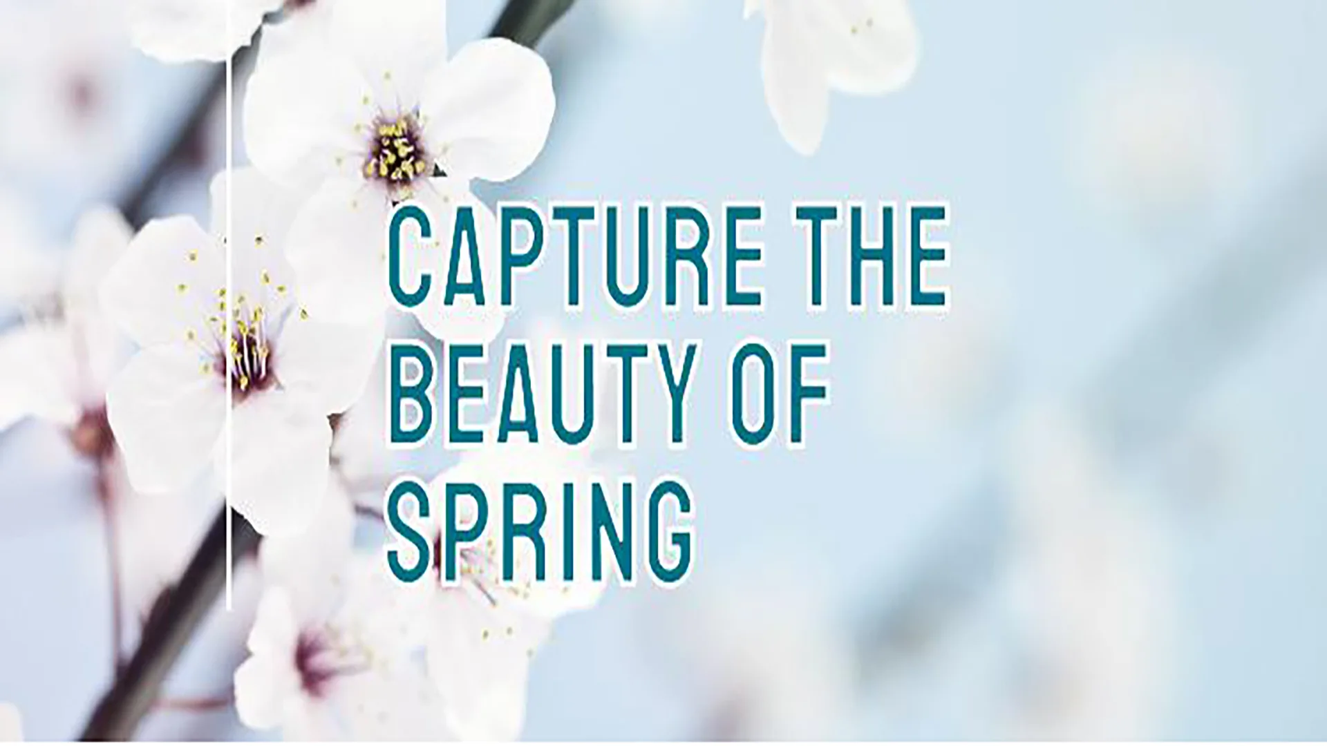 Top Spring Photography Ideas: Capture Vibrant Blooms!
